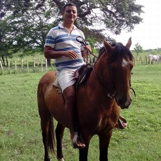 Joseruj1801's tweet photo. #NuevaFotoDePerfil
Mi tierra Barinas mi llano de ❤
#MiFinca 🐄🐄🐎🤠 https://t.co/363cVz4shv