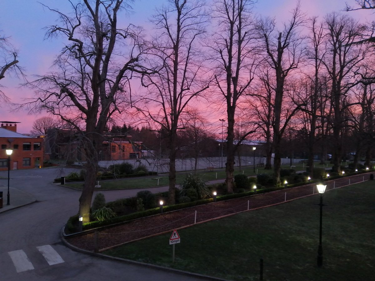 BenendenNorris's tweet photo. Sunrise this morning at Benenden. 🤞we might be getting some snow this morning too ❄️🌨️. https://t.co/Xo0NeiXwtu