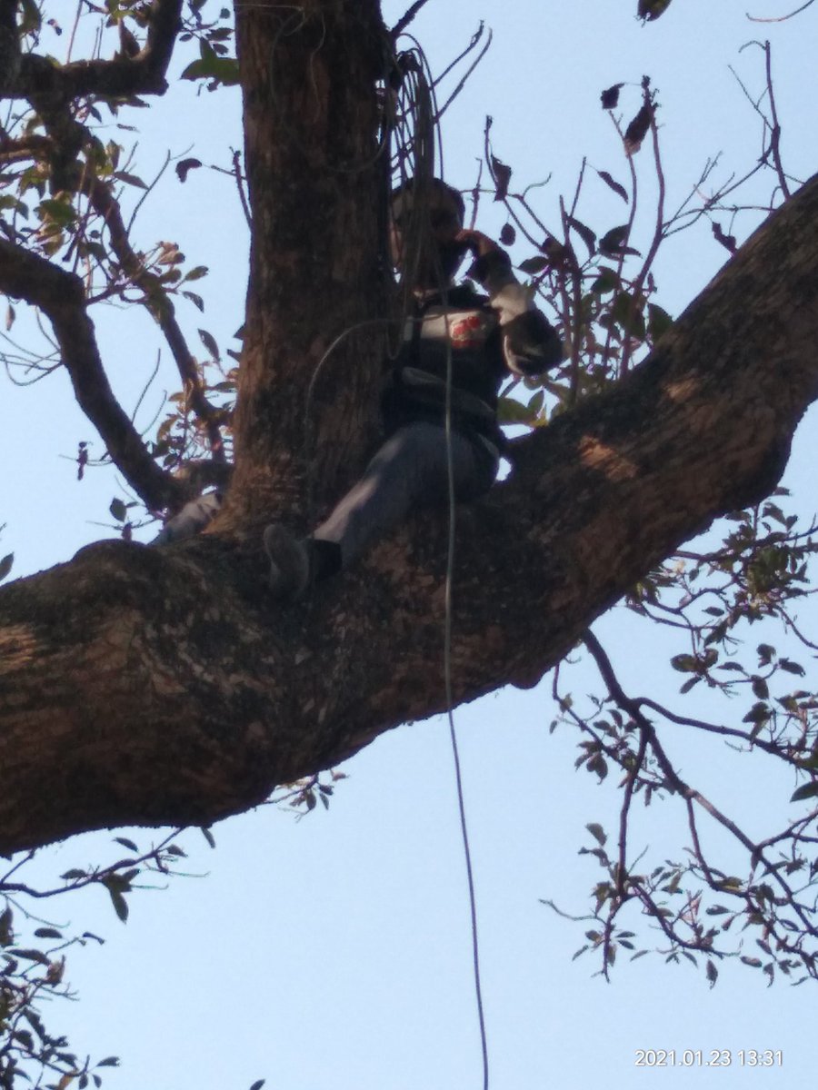 Rameshyadavcsc's tweet image. #cscsegramswaraj  Today&apos;s power restoring for gp live and FTTH by wifi choupal team kunda pratapgarh.@abhi481 @wifichoupal @dintya15 @avanish78