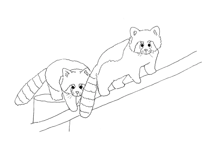 レッサーズだろ 