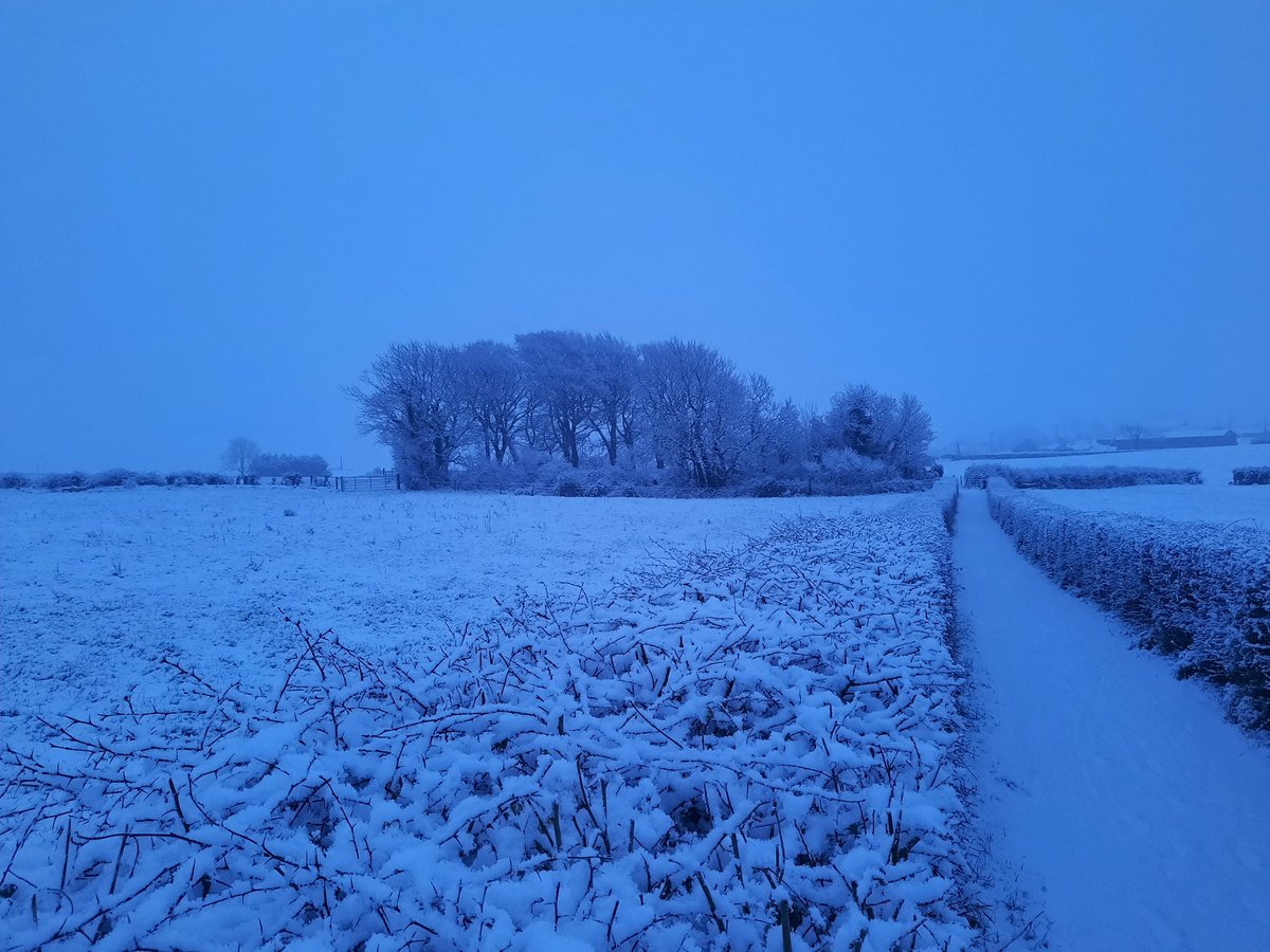 EJDPollard's tweet image. Lisnabreeny #rath, Belfast, this morning #ringfort