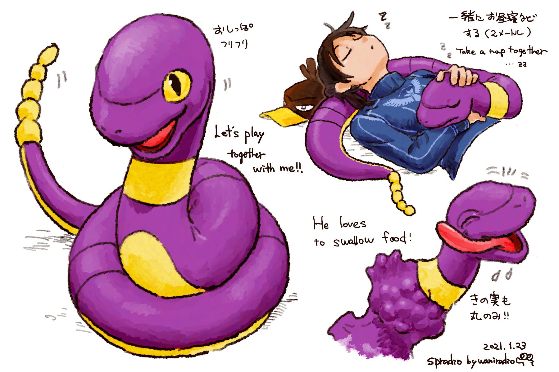 Spradio Commission Open ポケモンと生活 Pokemongo アーボ Pokemon Ekans 1日に1匹のポケモンを描くチャレンジ 23日目は実は結構身体が長いアーボ T Co Psezf Twitter