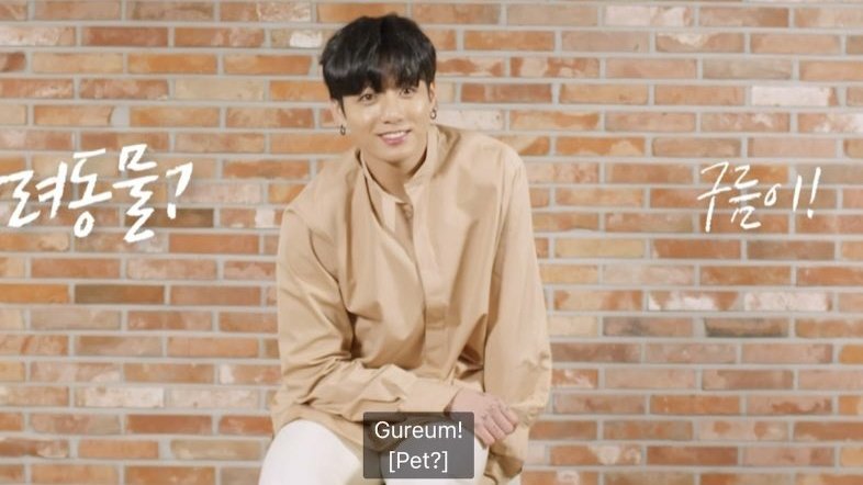 dreamjeons's tweet photo. jungkook and his love for gureum :( https://t.co/HIUx1q86Q0