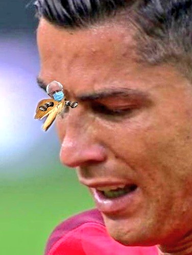 MeloOut's tweet photo. It all makes sense now 😂🙏🇵🇹#BernieMeme #BernieMemeFest2021 #Ronaldo  @selecaoportugal #euro2016 @Cristiano https://t.co/PstJKQp2Zy