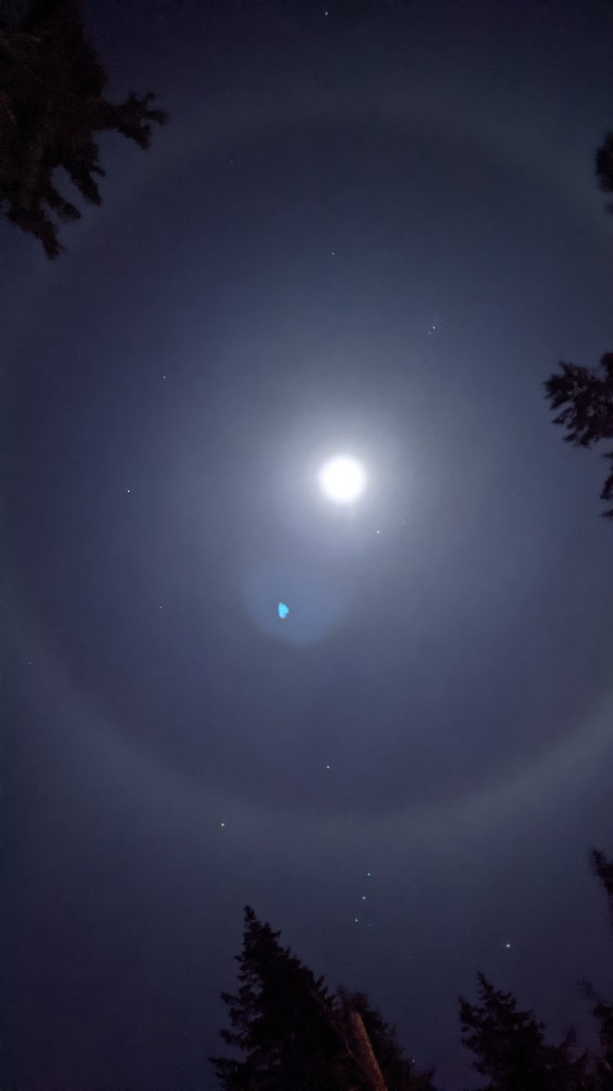 FraserValleySH's tweet photo. @GlobalBC @MMadryga What would cause an orb like this around the moon? Taken just now in Sunshine Valley, BC. https://t.co/hwRk9AXrCY