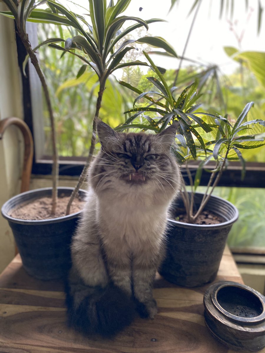 Waking up on               Realising it’s 
     Sunday               Monday Tomorrow