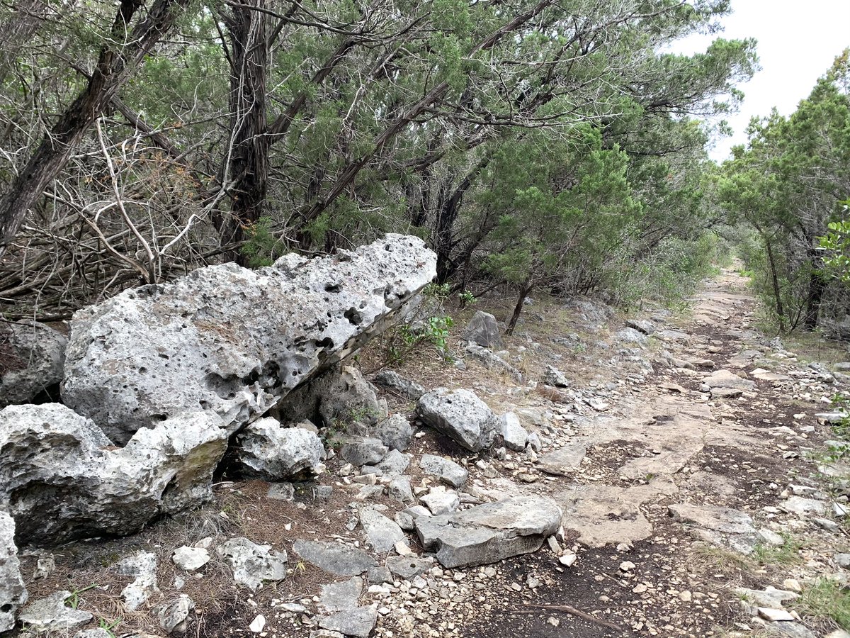 Morning hike with my favorite energy podcast