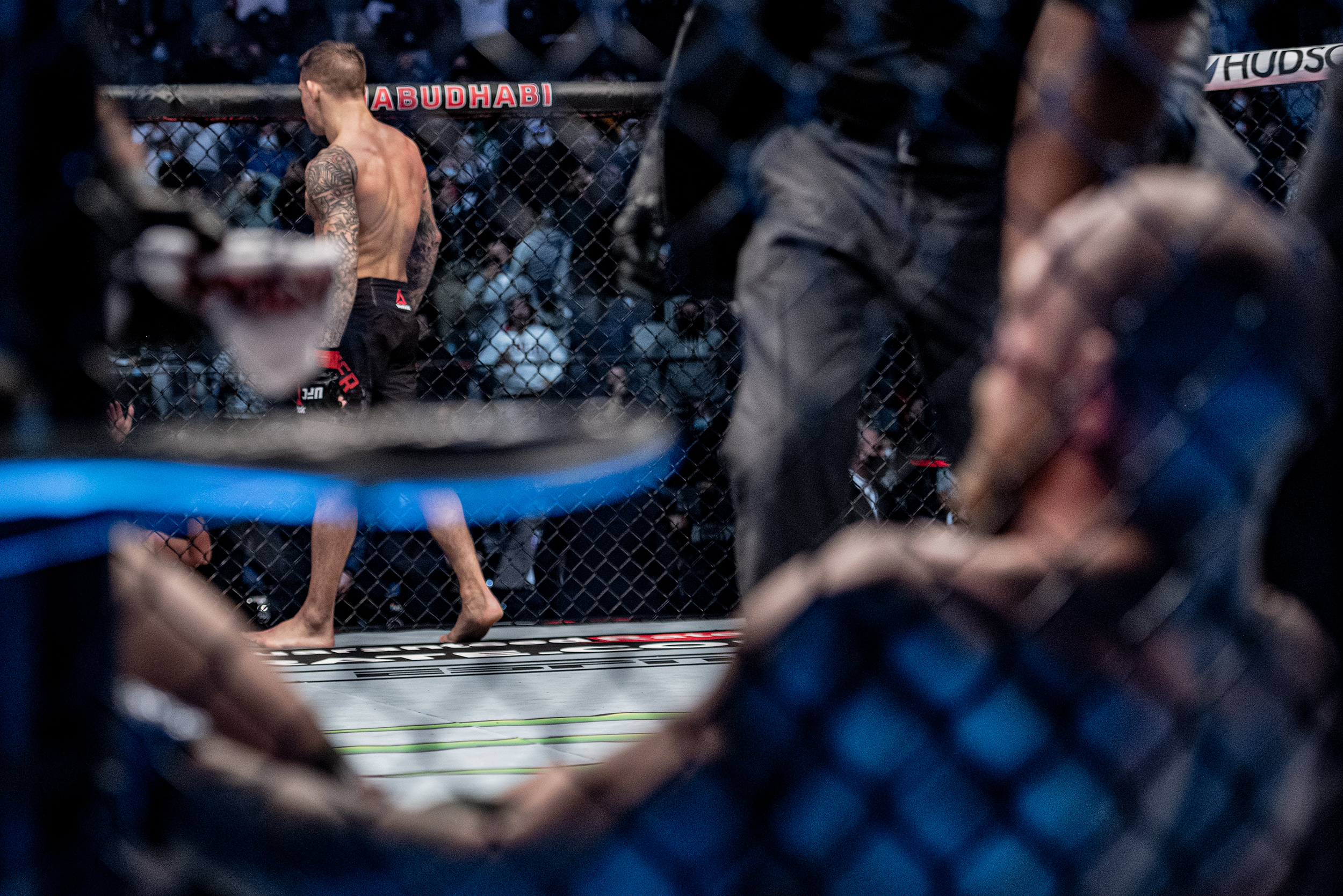 Юфс 289. Гловер тейшейра фото. King of warriors mma. Ufc fight night: silva vs. Трансляция турнира ufc.