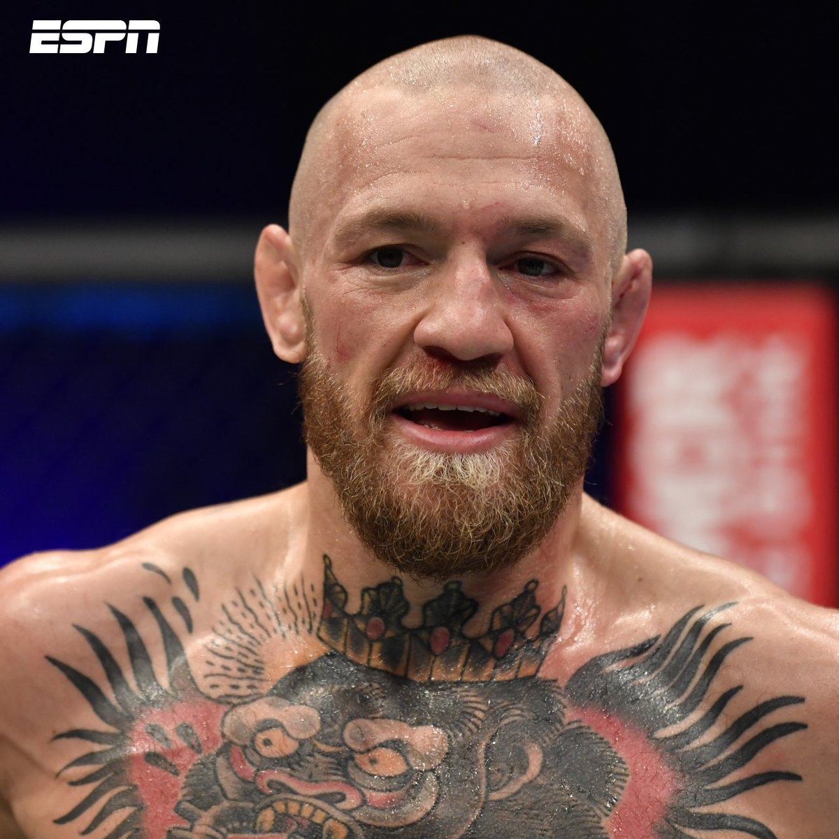 ESPNmx's tweet image. ABRIMOS DEBATE 🔥

¿Conor McGregor debería retirarse del octágono? 🤔

#UFC257 bit.ly/3sRrs5L
