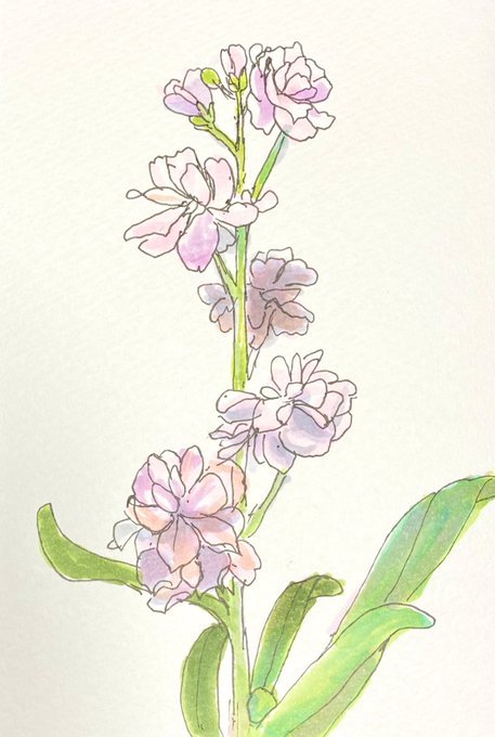 Copicのtwitterイラスト検索結果