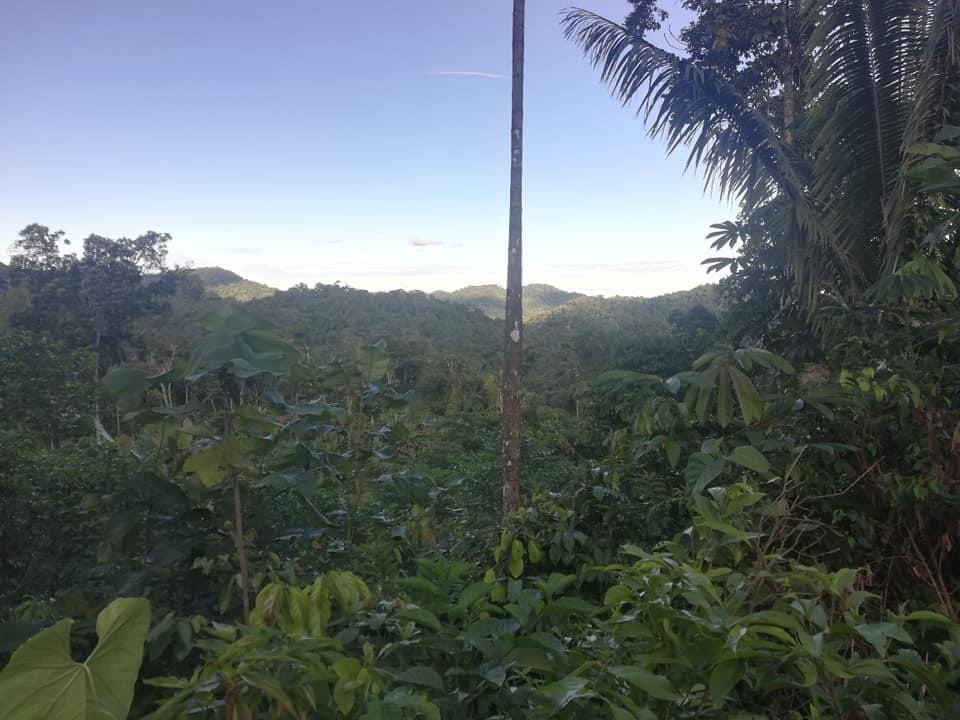 LancerosDigital's tweet photo. Se instala segundo sistema solar y radio HF en territorio Shuar de Pastaza en coordinación entre la @confeniae1 #Fenashp @rhizomatica y @karasolar2030 https://t.co/igdw1SEJS2