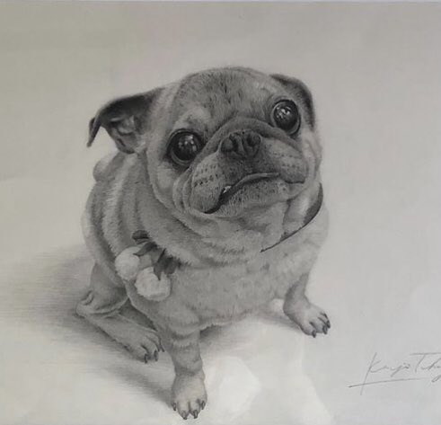 パパが描いてくれた僕🐶 実物通り、可愛く描いてくれたよ❤️ #鉛筆