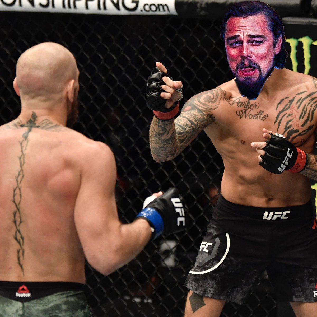 <a href="/TeamKhabib/">khabib nurmagomedov</a>