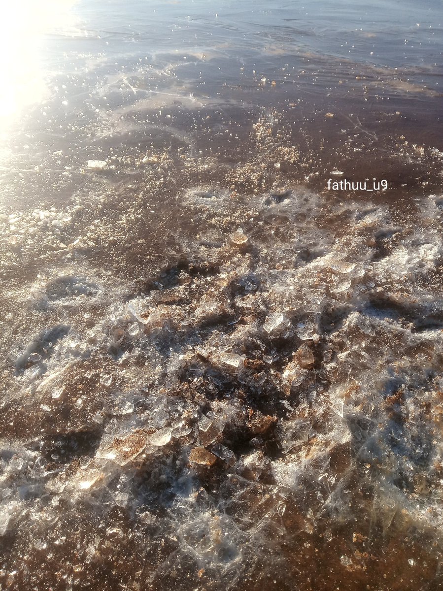 Fathimath Fathuu (fathuu_u9) tweet media