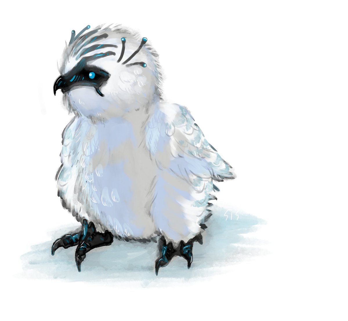 シス Ark 雪フクロウはカラーばかり乗ってるけど ノーマルもとても可愛い シス Ark 雪フクロウはカラーばかり乗ってるけど ノーマルもとても可愛い