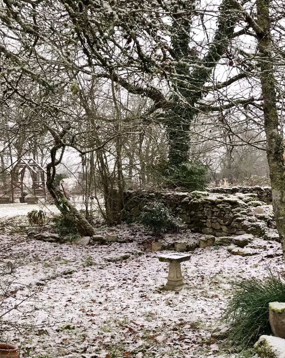 PennAllenwrites's tweet photo. Leaden grey skies, cold, damp and sleety, I am longing for better gardening days. #BayTrees #SunkenGarden #Topiary #MyGarden #SwFrance https://t.co/CT3sSlpZWZ
