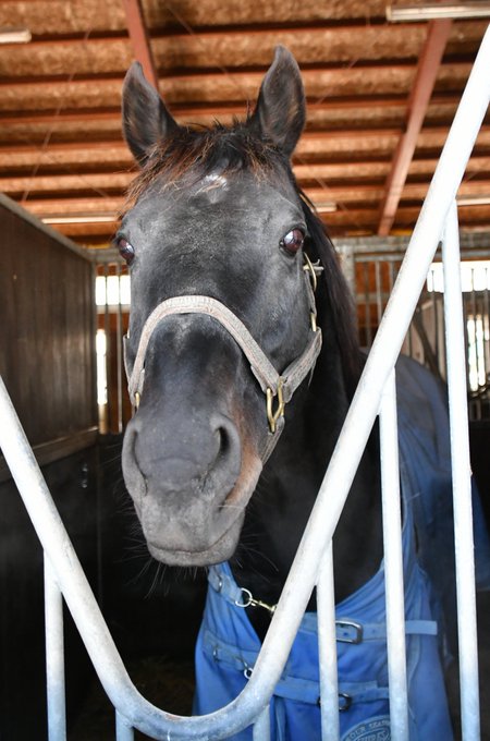 パカパカ工房 ワクチン2回接種済 Pakapakakobo Page 40 Twilog