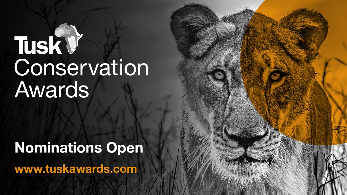 Do you know an African #conservation leader who deserves to be celebrated #ForAllTheyDo? Nominations are now open for the 2021 @tusk_org Conservation Awards! Visit @tusk_org to learn more and make a nomination.

#wildlifeconservation #tuskconservationawards