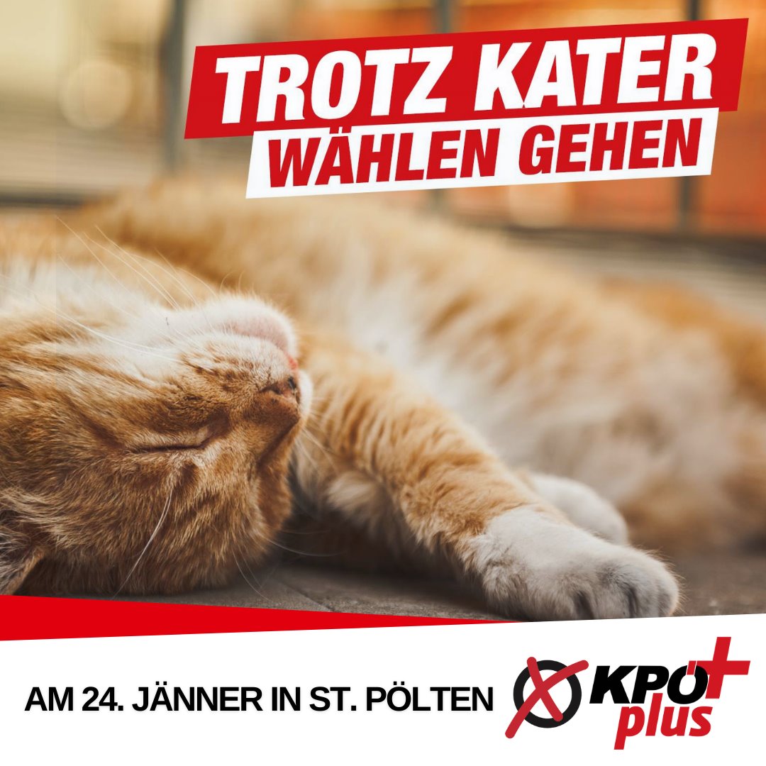kpoeplus's tweet photo. Trotz Kater wählen gehen: Heute für eine linke und soziale Stimme in #StPölten ❌ KPÖ PLUS!✌🚩
#Wahl21 #NiederÖsterreich https://t.co/ubykZxZWGf