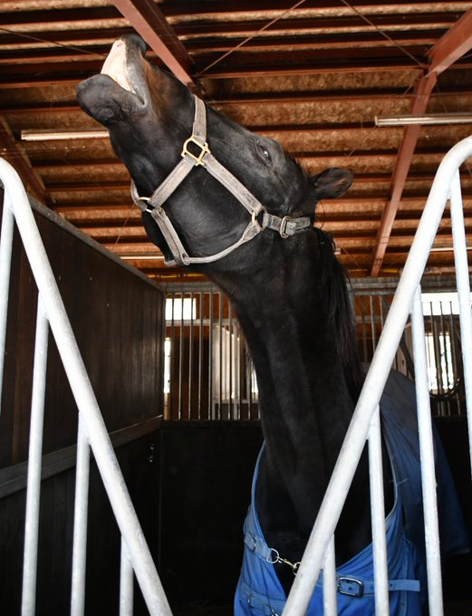 パカパカ工房 ワクチン2回接種済 Pakapakakobo Page 40 Twilog