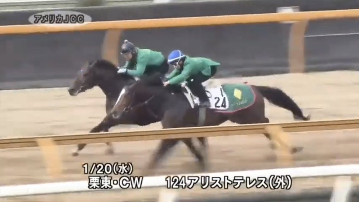 シラト 馬体研究マニア Ajcc 不良馬場 内側壊滅的状況 スローペース 少し回転の早い走りをするアリストテレスにピッタリだったのかな