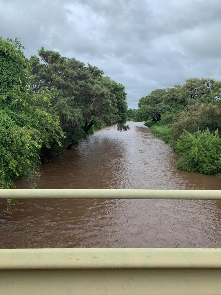SANParksKNP's tweet image. Punda Maria area.  #TropicalCycloneEloise