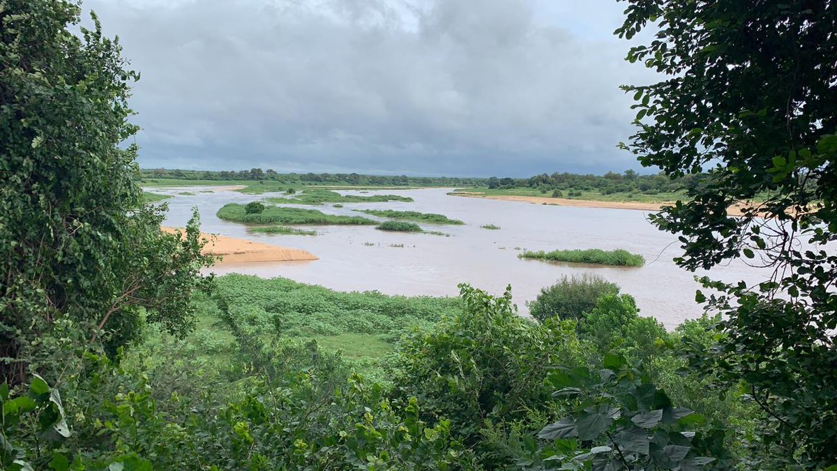 SANParksKNP's tweet image. Punda Maria area.  #TropicalCycloneEloise