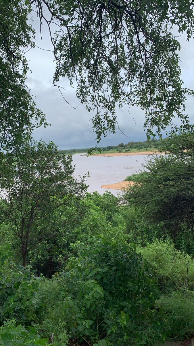 SANParksKNP's tweet image. Punda Maria area.  #TropicalCycloneEloise