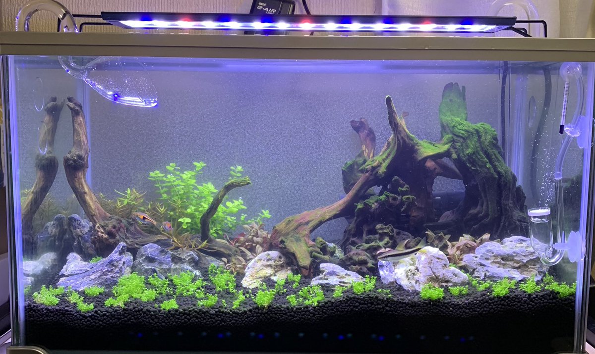 ラスボラエスペイ ট ইট র অন সন ধ ন