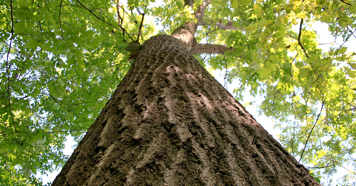 Student or researcher, apply for a grant! Find support for your studies or writing a thesis, travel grants or support for your research. Application period is 12.1.– 4.2.2021 guide.student.helsinki.fi/en/article/sch…