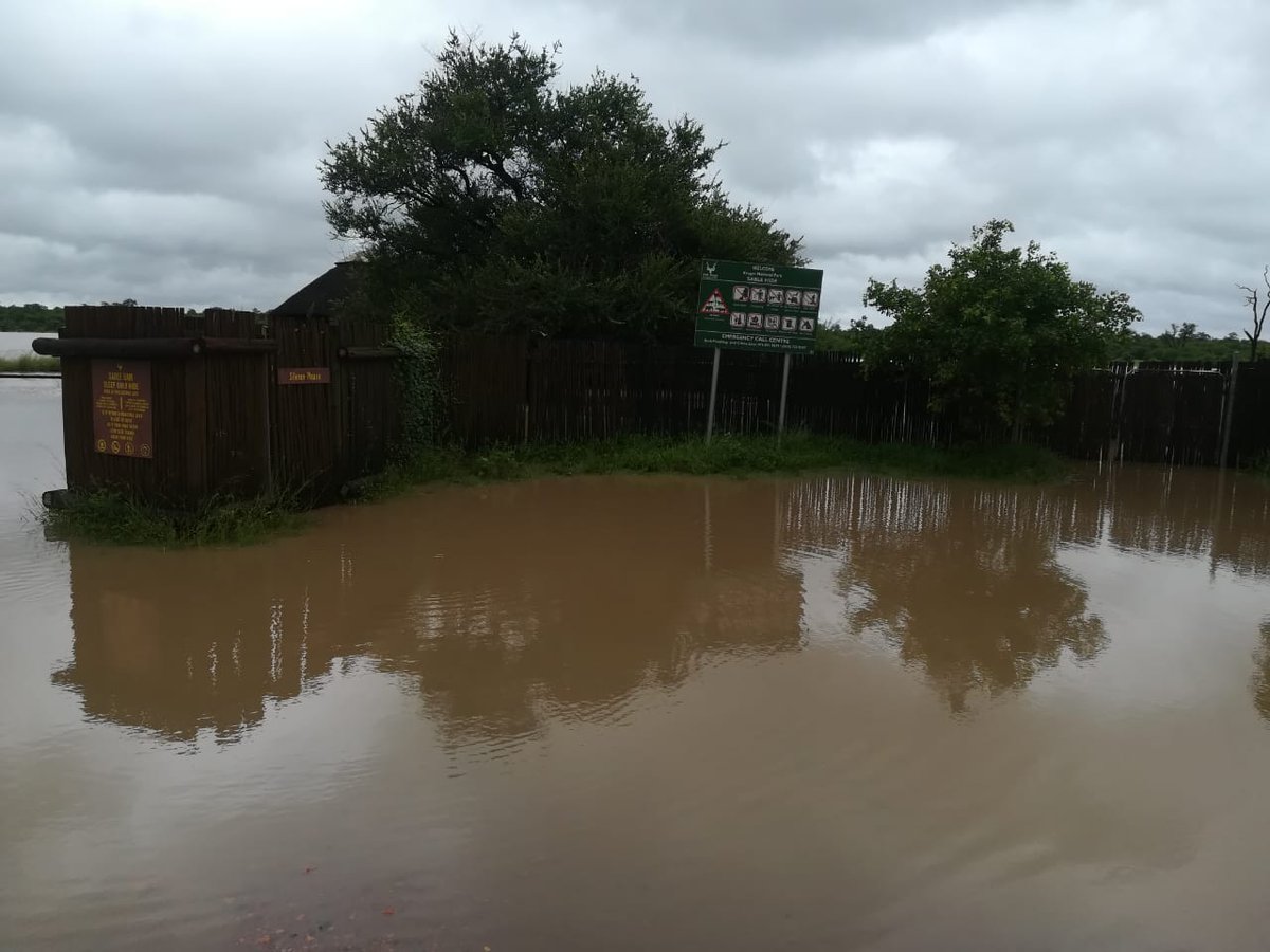 SANParksKNP's tweet image. Sable Hide.  #TropicalCycloneEloise