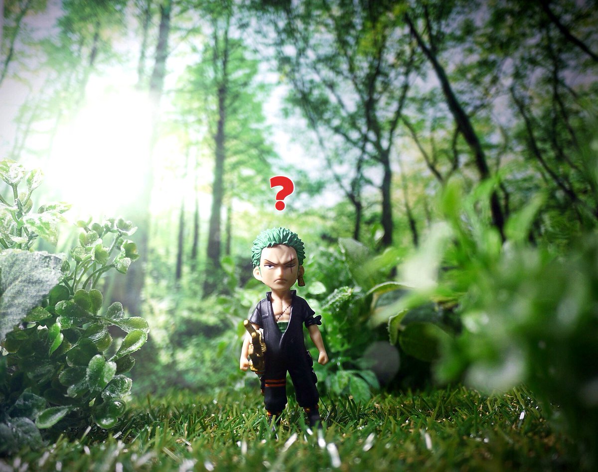 Lefty 楽しく玩具撮影会 1 24 お題 緑系 緑深い森を彷徨う緑髪の迷子剣士さん詰め合わせ Onepiece Roronoazoro ワンピース ゾロ ワンピースフィギュアを投稿しよう
