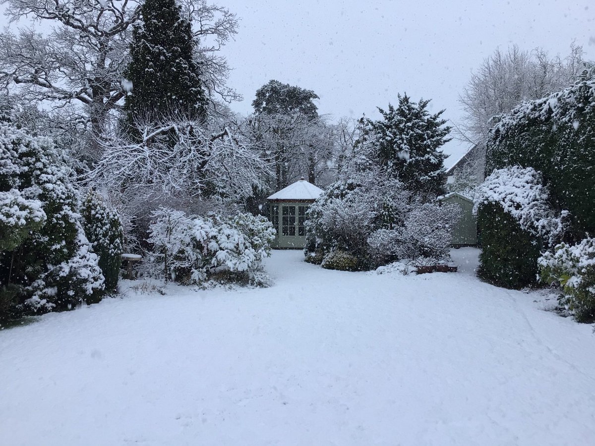 HowellsGb's tweet image. First show of 2021