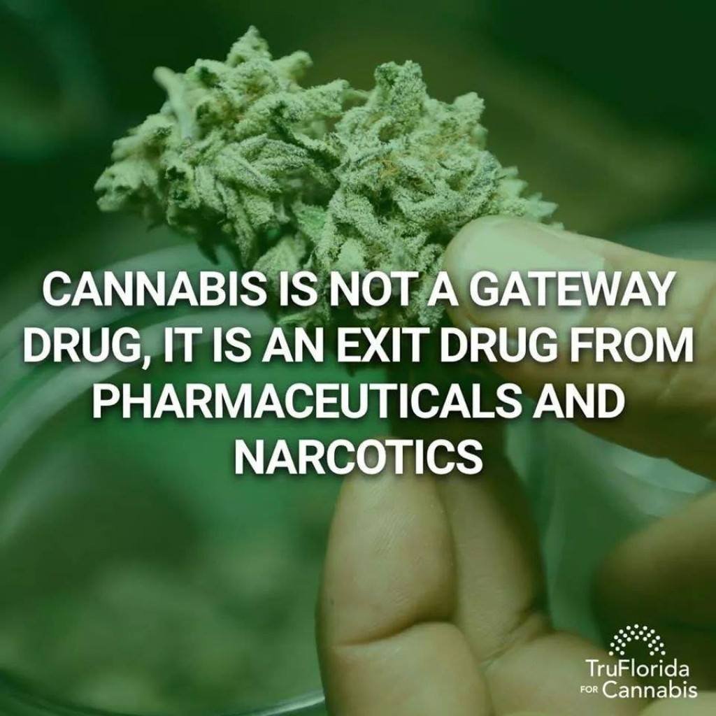 cannaworldsite's tweet photo. https://t.co/dfb2h5Z7qp