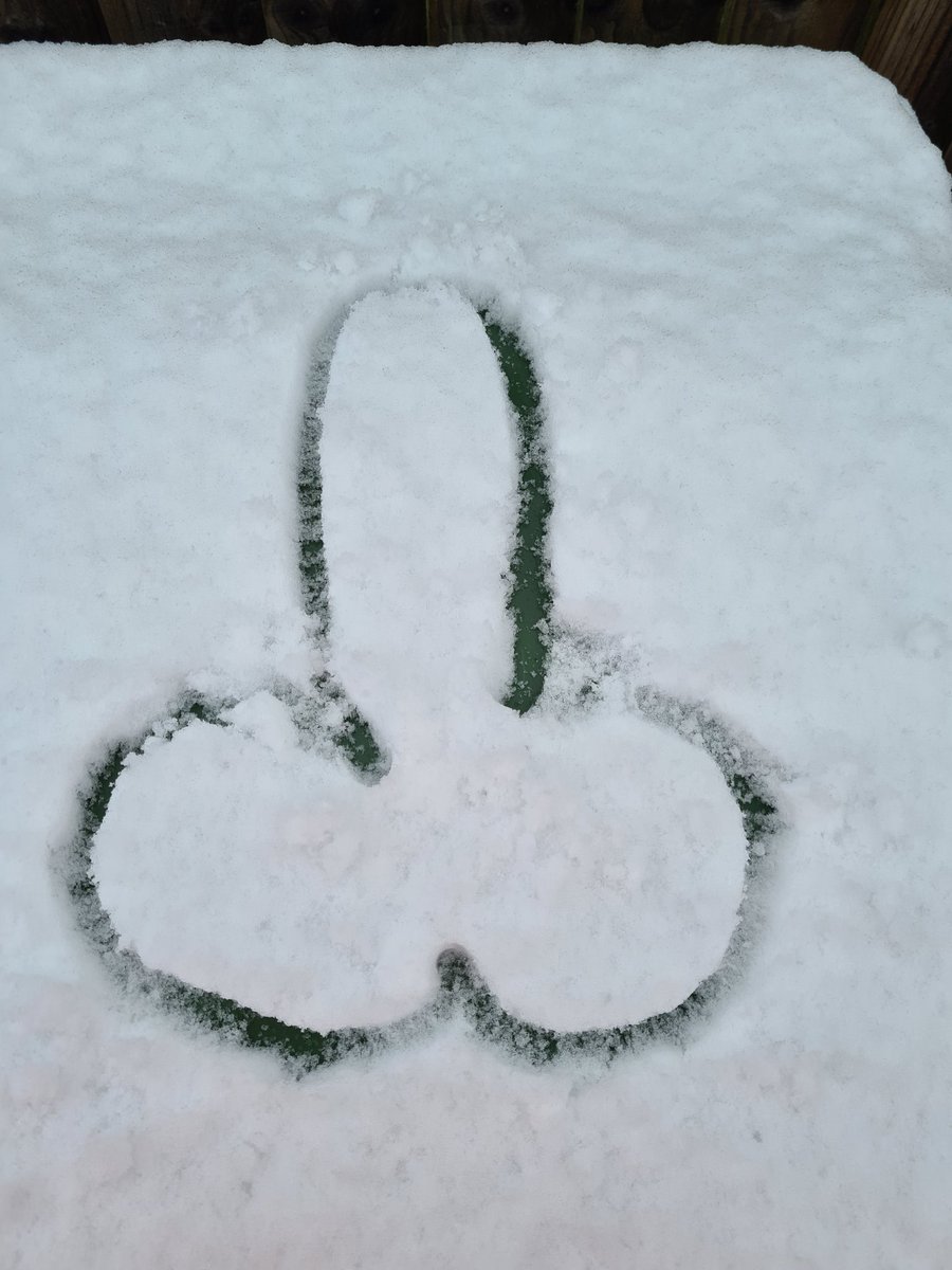 aimeecassandra's tweet photo. The level of my maturity 🍆 #snowdick https://t.co/HVyvsWkOJY