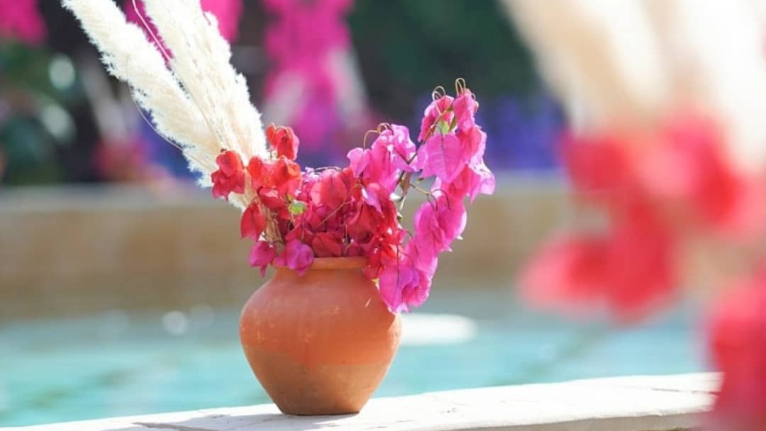 Purple Grapes Events (@purplegrapeevnt) on Twitter photo 