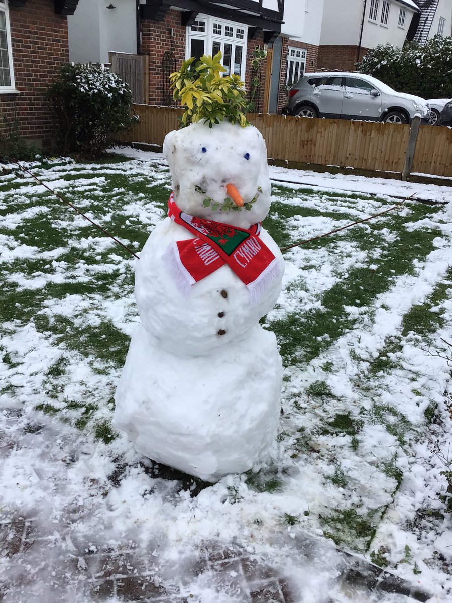 HowellsGb's tweet image. A surprise visitor to our front garden!