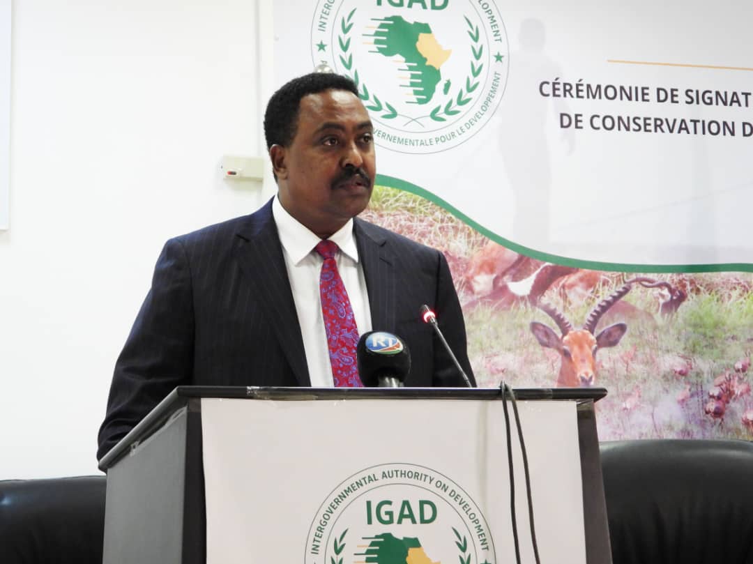 DrWorkneh's tweet photo. Signed a Grant Agreement worth Euros 4.4 M for a🇸🇸🇪🇹transboundary conservation project of the Boma-Gambella landscape/biodiversity w/ Amb O'hara of @UEaDjibouti

Guaranteed that #IGAD'll deliver for a positive impact on the biodiversity management &amp; the livelihoods of communities https://t.co/wEWrmsyPhB
