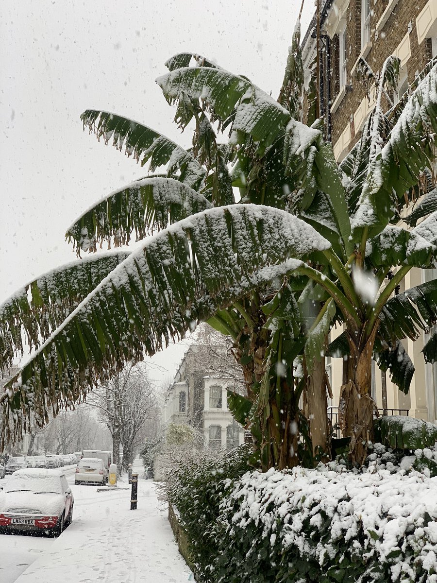 MyRedCarpetBody's tweet photo. Snow in #london this morning https://t.co/P4jtGxtN6d