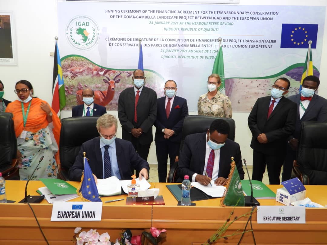 DrWorkneh's tweet photo. Signed a Grant Agreement worth Euros 4.4 M for a🇸🇸🇪🇹transboundary conservation project of the Boma-Gambella landscape/biodiversity w/ Amb O'hara of @UEaDjibouti

Guaranteed that #IGAD'll deliver for a positive impact on the biodiversity management &amp; the livelihoods of communities https://t.co/wEWrmsyPhB