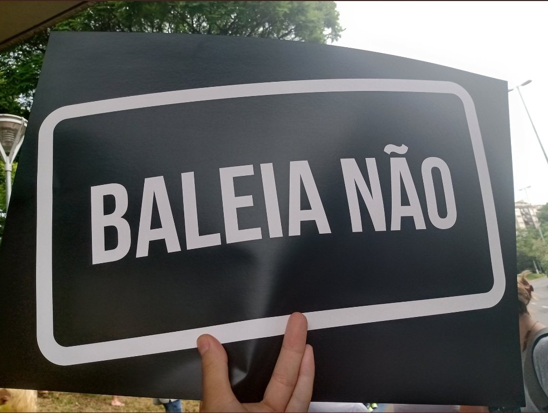 marcoaurelio969's tweet photo. A Tag anterior caiu ?

Vamos de #TodosComBolsonaro https://t.co/WzCYMA7nZ3