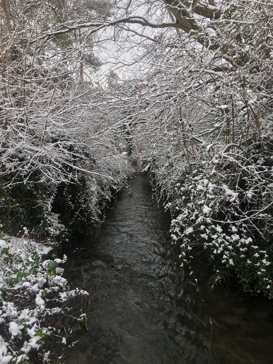 Stu763's tweet photo. The brook that runs through the garden looking lovely in the snow #LetcombeBrook #Grove #Oxfordshire #Snow https://t.co/UjZ7iwuryC