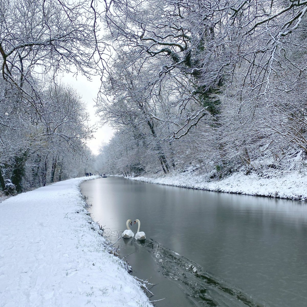 Gorgeous morning walk in Bradford on Avon ❤️ Happy snow day everyone! #BradfordOnAvon