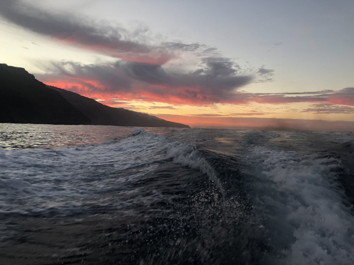 Matias Dumpierrez tweet media