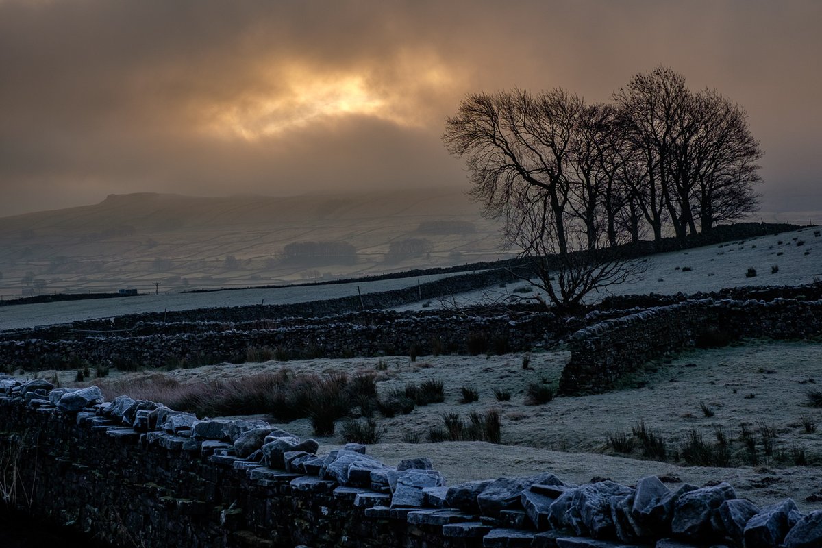 No spectators allowed at Hawes mart yesterday - so here's how it's gone in the past. Firstly, we get there just as the sun tries to show itself over Hawes, on a bitterly cold morning