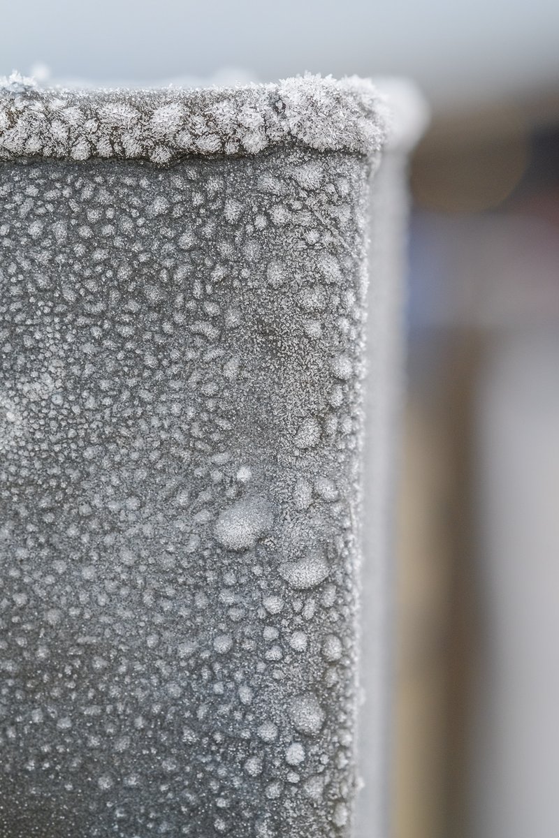 We're a bit late getting there, what with stopping to take photos, so we'll nip straight through the mart to the icy pens outside...