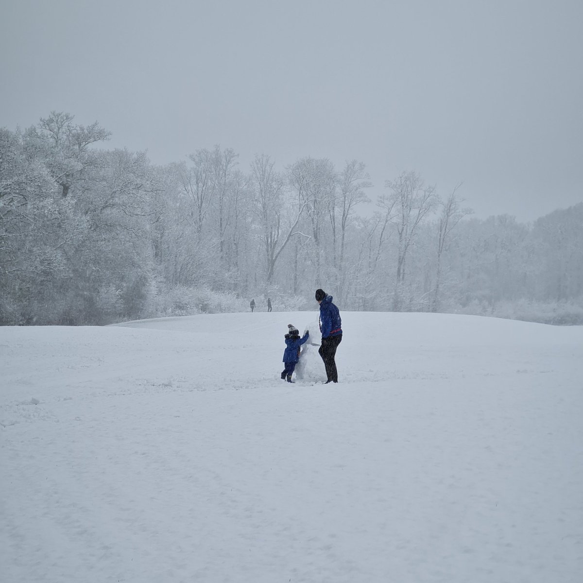 Building a snowman in the middle of an empty field. #snow #snowlondon #snowday