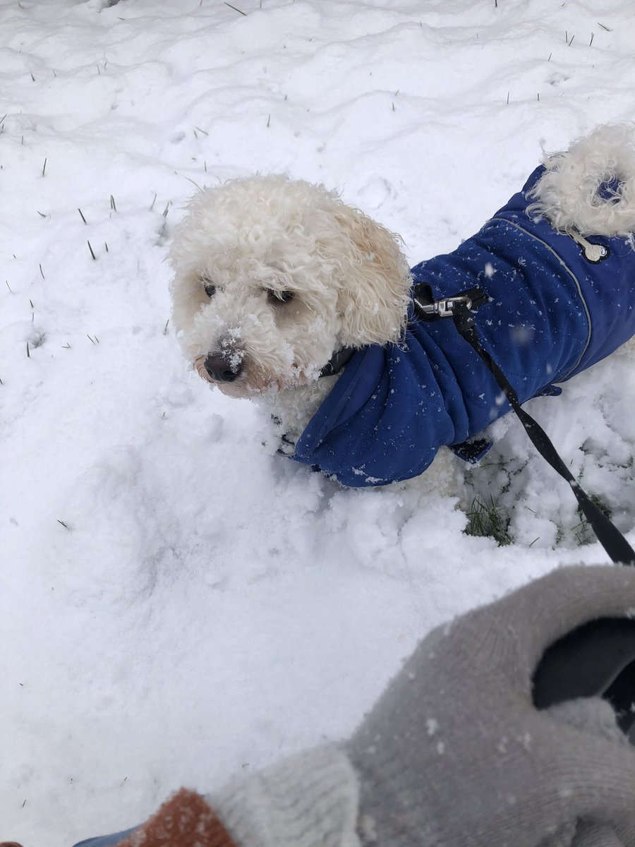 Did you know it’s snowing?