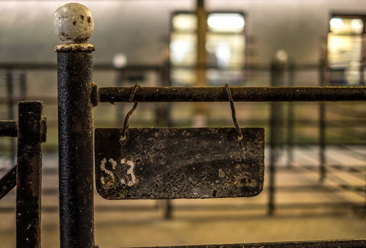 ...and then head inside