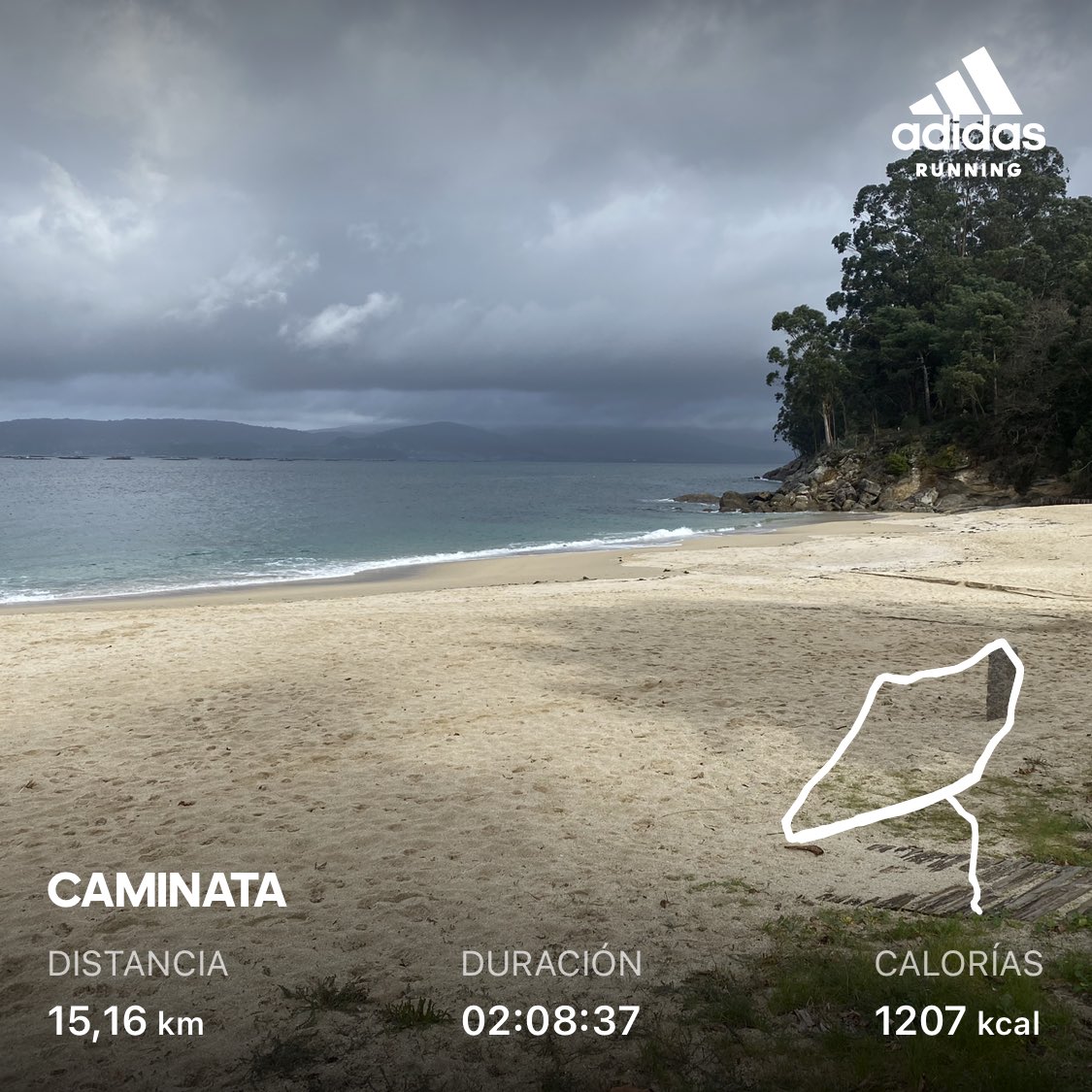 Jose M. Collazo Leal (@collazoleal) on Twitter photo 